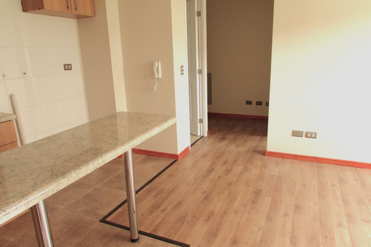 CONDOMINIO PLAZA PELLUCO - Grupo Indumontt